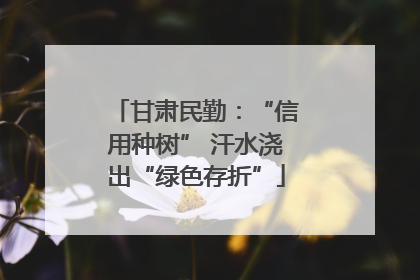 甘肃民勤：“信用种树” 汗水浇出“绿色存折”